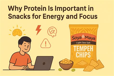 Why Protein Is Important in Snacks for Energy and Focus - Soya Maya - why is important protein