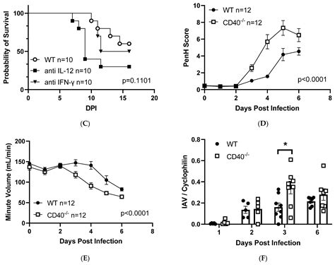 CD40 Signaling in Mice Elicits a Broad Antiviral Response Early during ...