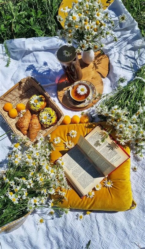 Picnic aesthetic – Artofit