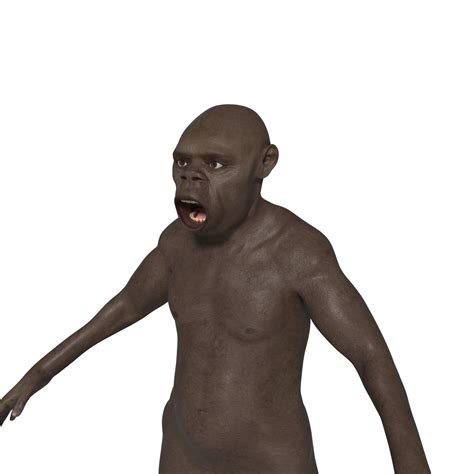 Image result for Australopithecus Simulation