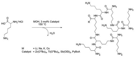 Highly Branched Polymers Based on Poly(amino acid)s for Biomedical ...