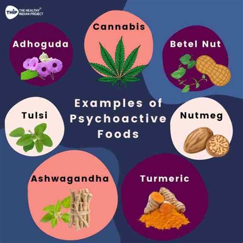 What are psychoactive foods?- THIP Media
