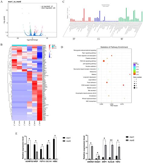 VMP1 Regulated by chi-miR-124a Effects Goat Myoblast Proliferation ...