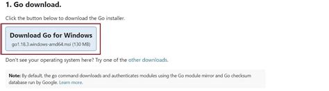 Go Programming Language Download 的图像结果