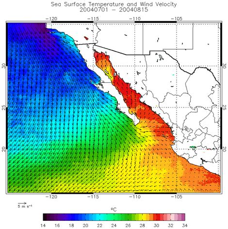 Monsoon Information Page
