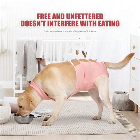 Pet Abdominal Wound Protection Dog Post-Surgery Suit Pet Surgical Suit ...