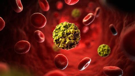 What is Norovirus? Symptoms, how to prevent; all you need to know about ...