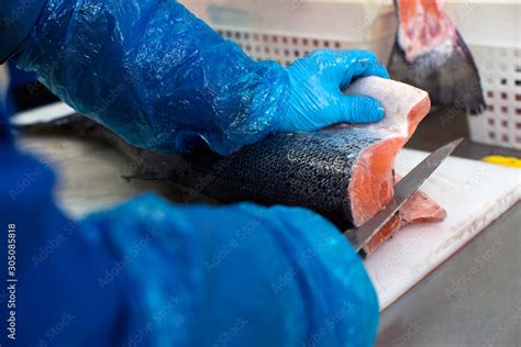 Image result for Fish Factory Tour