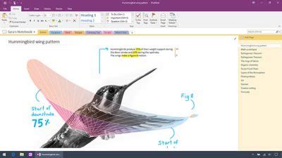 Difference Between OneNote and OneNote Win 10 的图像结果