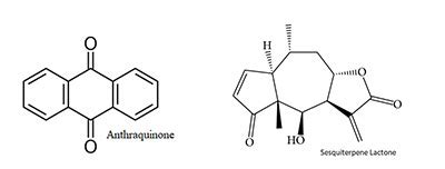Kristu Jayanti College, Bengaluru