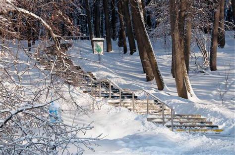 Парк Царицыно зимой — 58 эффектных фото