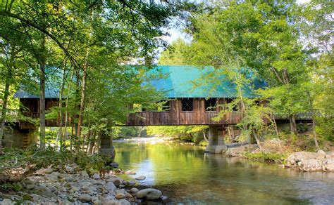 Nature River 的图像结果