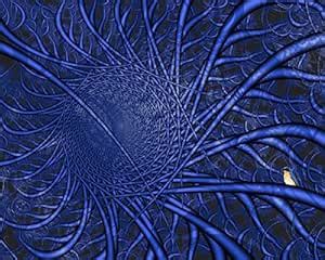 PixTopper Fractal nature and birds 15, Canvas-Medium (36 in x 28 in ...