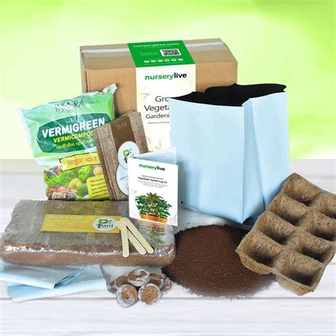 Buy Gardening Made Easy with Vegetable Gardening Kit online from ...