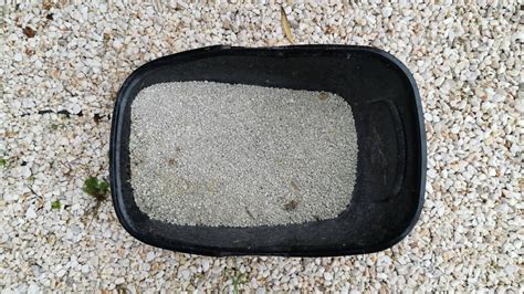 Image result for Clean Cat Litter Box