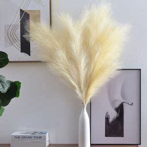 Buy TIED RIBBONS Set of 4 Fluffy Pampas Grass (White, 45.7 Cm ...