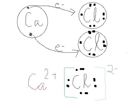 bond formation of cacl2 - Brainly.in