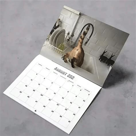 Cats Buttholes Calendar Weird Wall Calendar 2025 Funny Cat Home ...