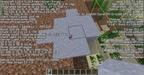 Image result for How to Find Diamonds Swamp Method