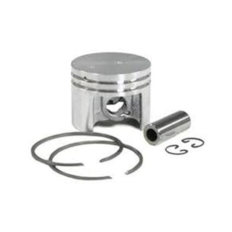 Početna - ML Forest