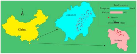 The Application of ResNet-34 Model Integrating Transfer Learning in the ...