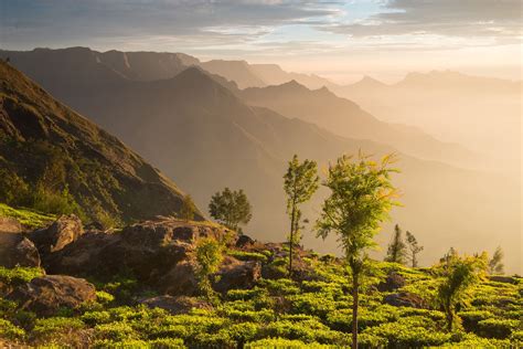 Local Train India 的图像结果