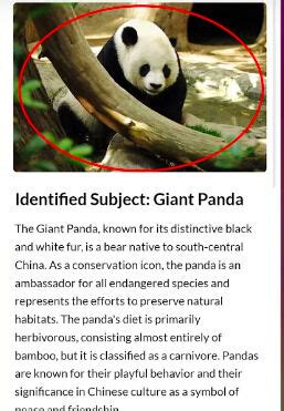 Efficient AI-Based Searches : circle to search1