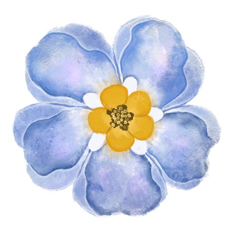 Light Blue Watercolor Flowers, Watercolor Flower, Flower, Flowers PNG ...