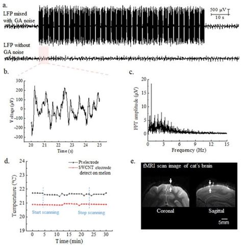 Magnetically Compatible Brain Electrode Arrays Based on Single-Walled ...