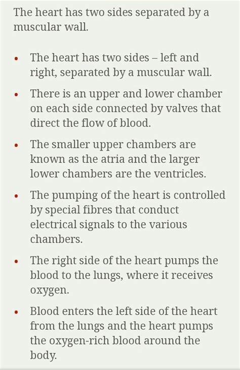 ⚡ ️Explain the working of Heart. - Brainly.in