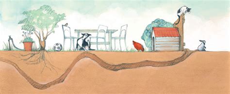 Image result for Were-Rabbit Chase