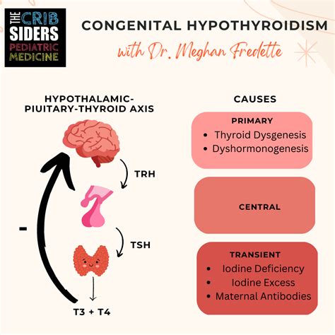 Congenital Hypothyroidism Congenital Hypothyroidism