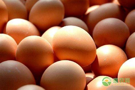 辰颐物语编辑部整理:今日鸡蛋多少钱一斤？2019年各地区鸡蛋价格行情预测_辰颐物语官网