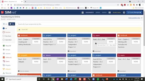 Image result for SimNet Excel 5.2 Skill Review