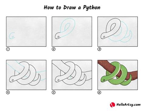 Image result for How to Draw Using Python