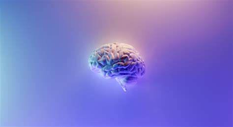 Research spotlight: The art of blending deep learning with algorithmic ...