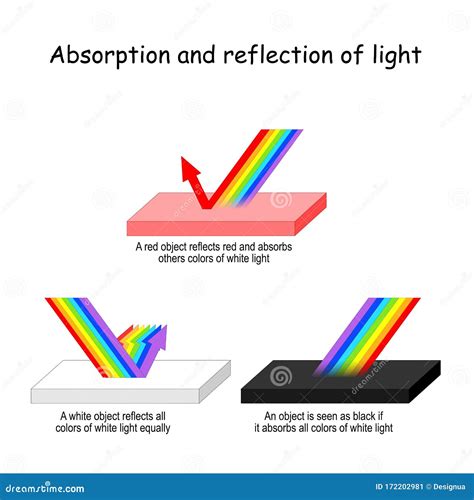Color Light Absorption and Reflection Stock Vector - Illustration of ...