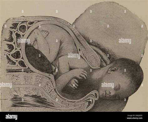 Vertex presentations hi-res stock photography and images - Alamy