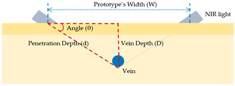 Preliminary Study for Designing a Novel Vein-Visualizing Device