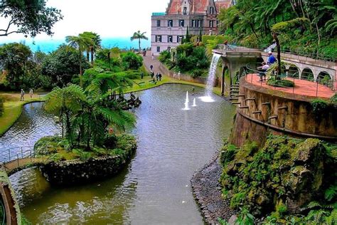 Madeira Gardens Private Half-Day Tour 2024 - Funchal - Viator