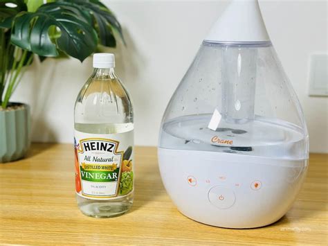 Image result for Why My Mini Humidifier Is Not Working