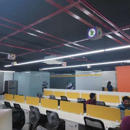 Square Panda Office Photos