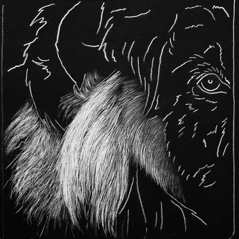 Image result for scratchboard