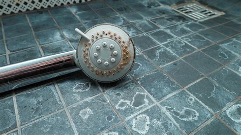 Hard Water and Hair Health: How Does Hard Water Affect Your Hair and W ...