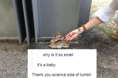 Funny Tumblr Posts