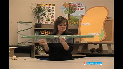 Image result for Science Module for Kinder