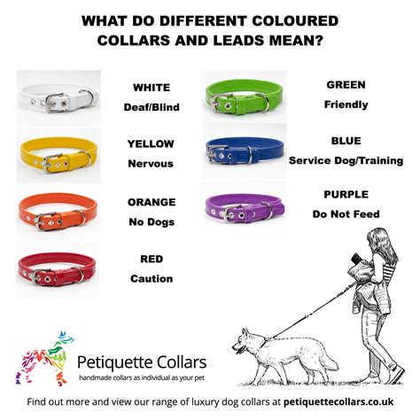 What do different coloured dog collars and leads mean? - Petiquette Collars