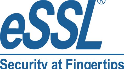 Web Digital Services