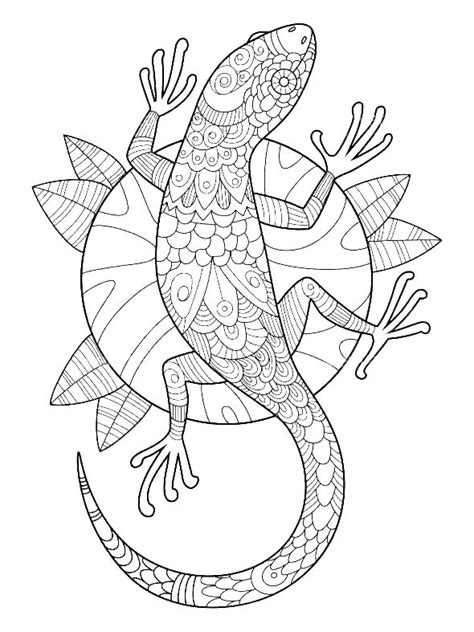 Cute Geko - Free Coloring Pages