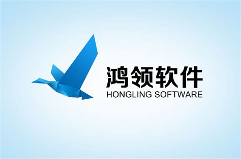 某软件科技公司Logo设计|平面|Logo|RacinYang - 原创作品 - 站酷 (ZCOOL)